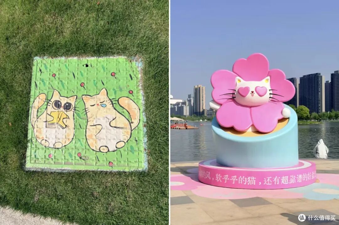 一个湖靠“像猫”干成了顶流
