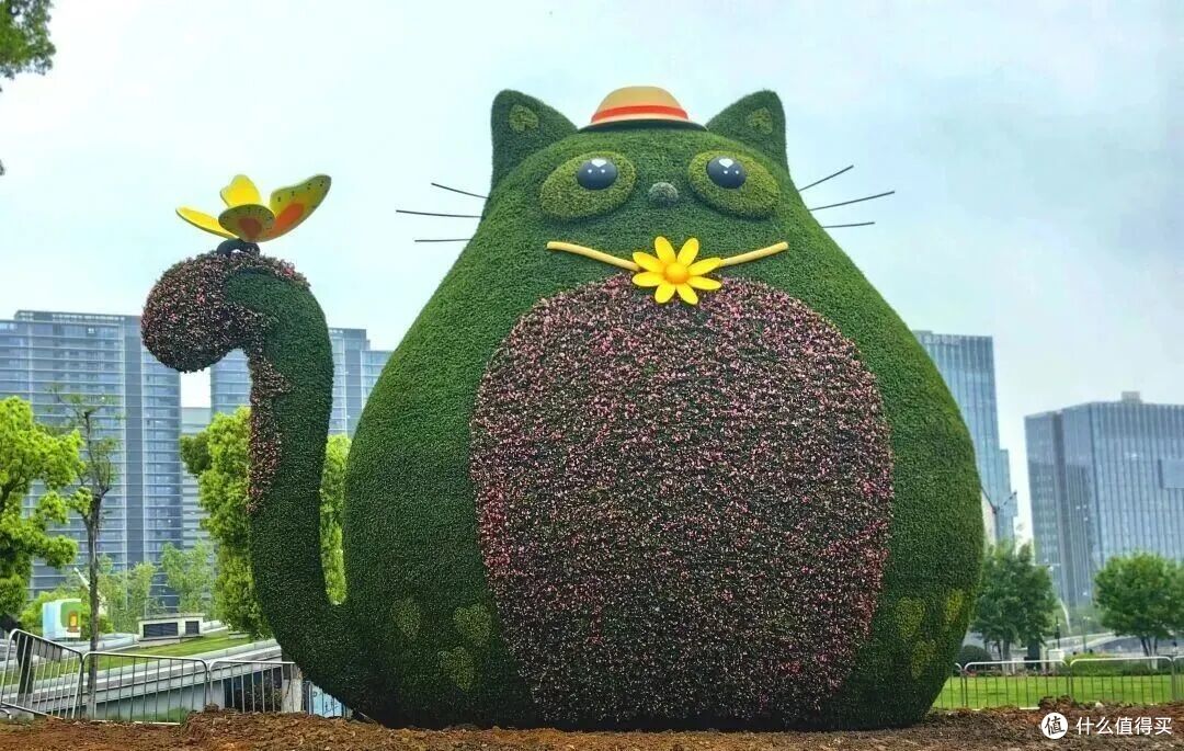 一个湖靠“像猫”干成了顶流