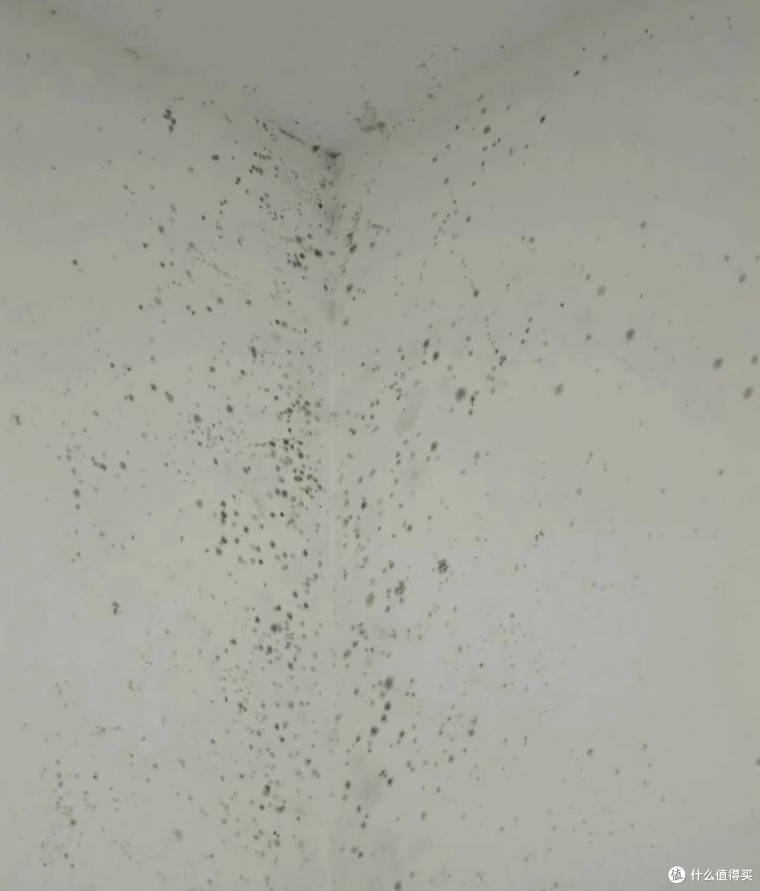 普通人的消费研究:阴冷潮湿天气抽湿机应该怎么选?选哪种机型?