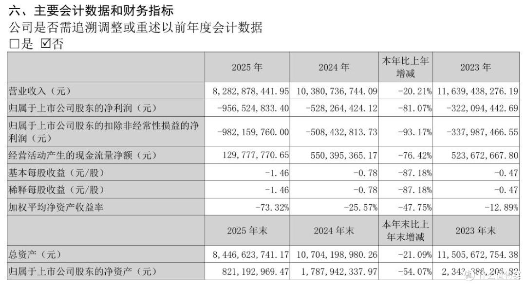 图源：中百集团年报截图