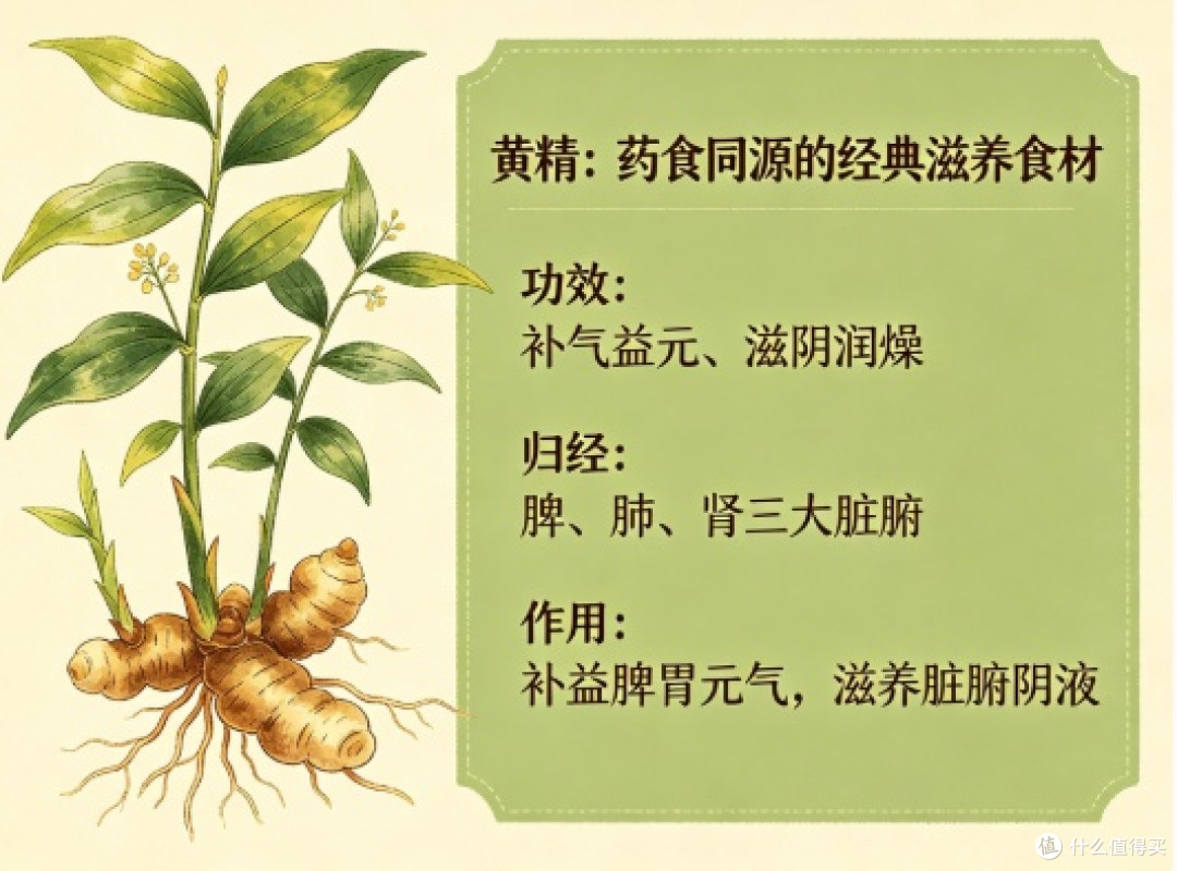 手术后想补补身子,有机黄精哪个牌子更靠谱?虚弱期温和调养攻略