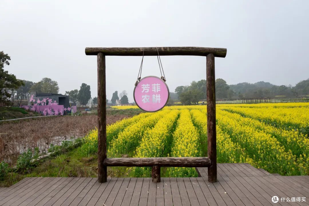 去了一个很卷的城市,游客不多景点却多到逛不完,太适合反向出游