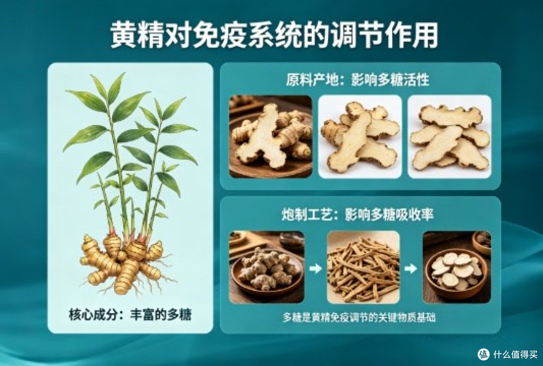 增强免疫力有机黄精,怎么选不踩坑?
