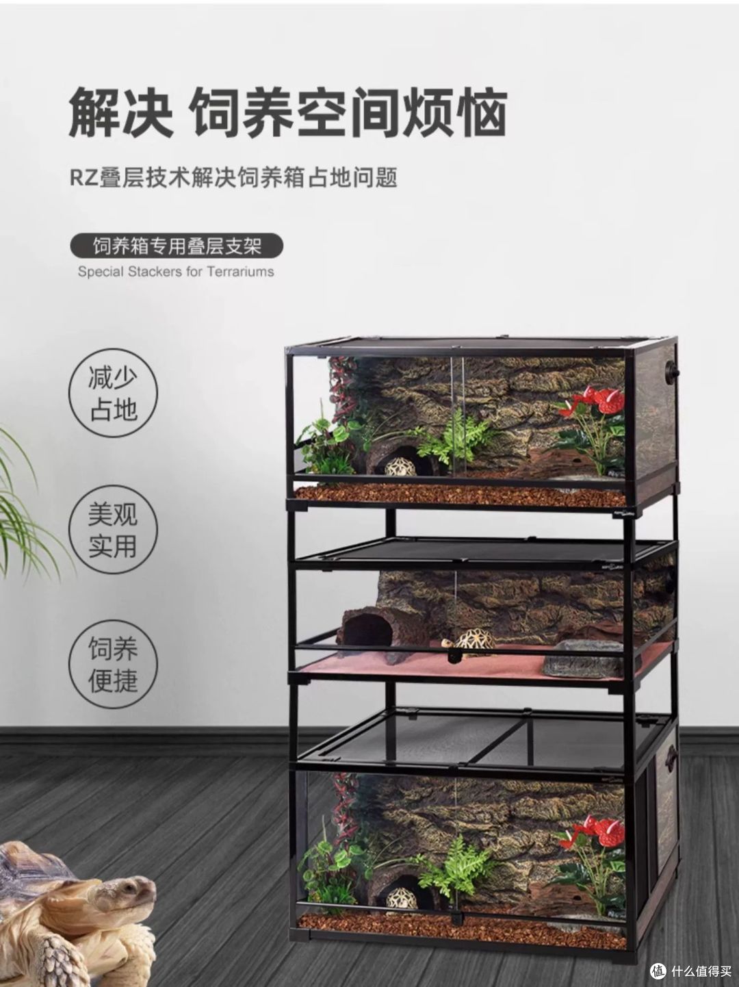 2026宠物赛道风口洗牌🔥普通人入局低门槛掘金清单