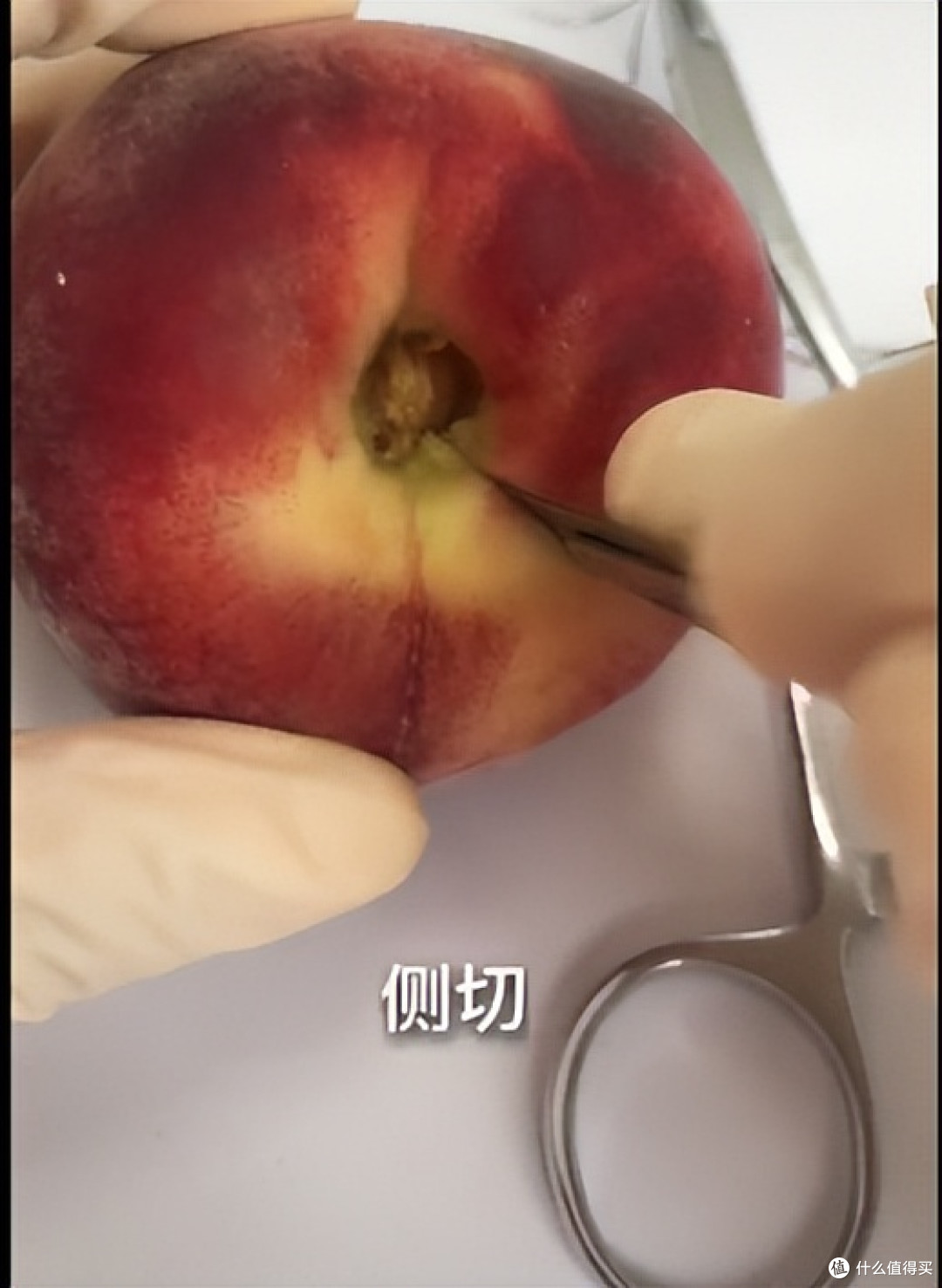 当医学生遇上水果，一场神秘“手术”正在酝酿