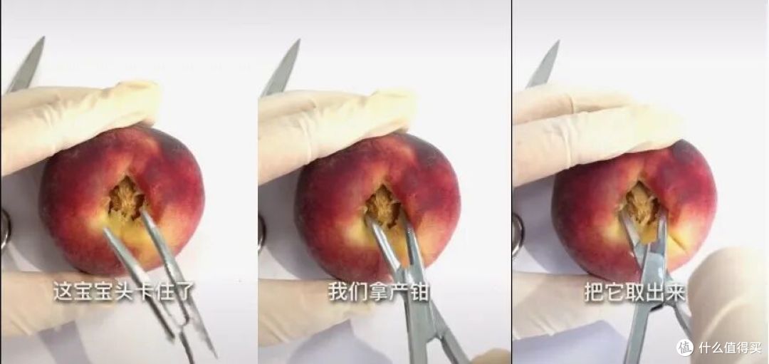 当医学生遇上水果，一场神秘“手术”正在酝酿