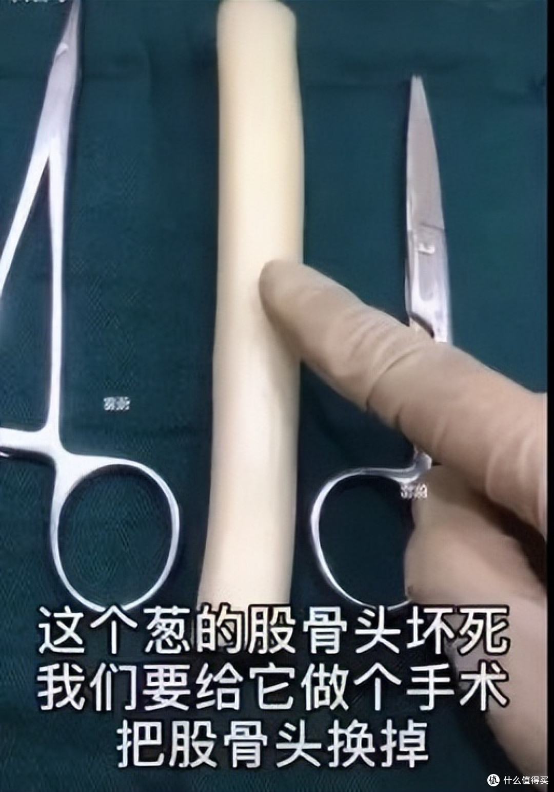 当医学生遇上水果，一场神秘“手术”正在酝酿