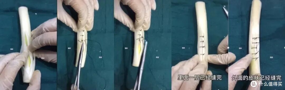 当医学生遇上水果，一场神秘“手术”正在酝酿