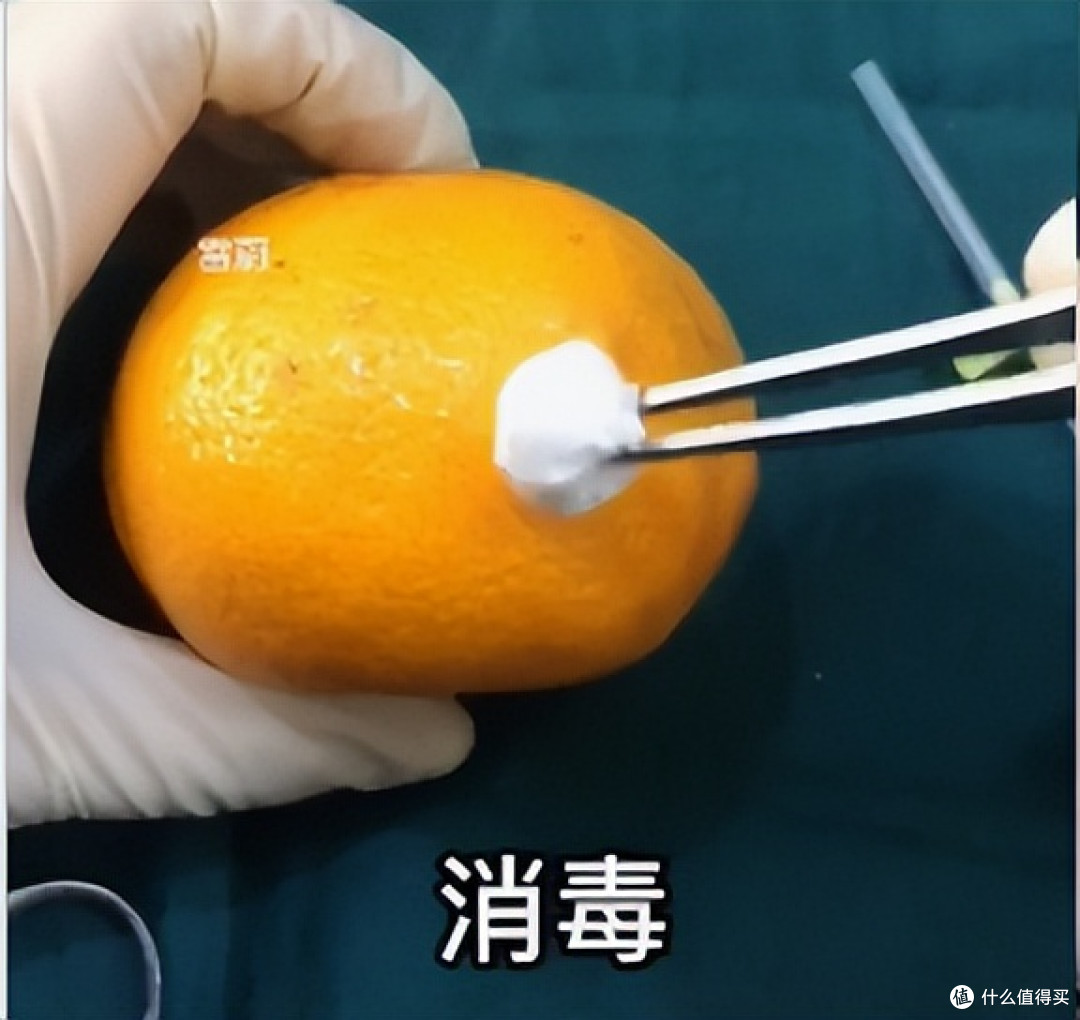 当医学生遇上水果，一场神秘“手术”正在酝酿