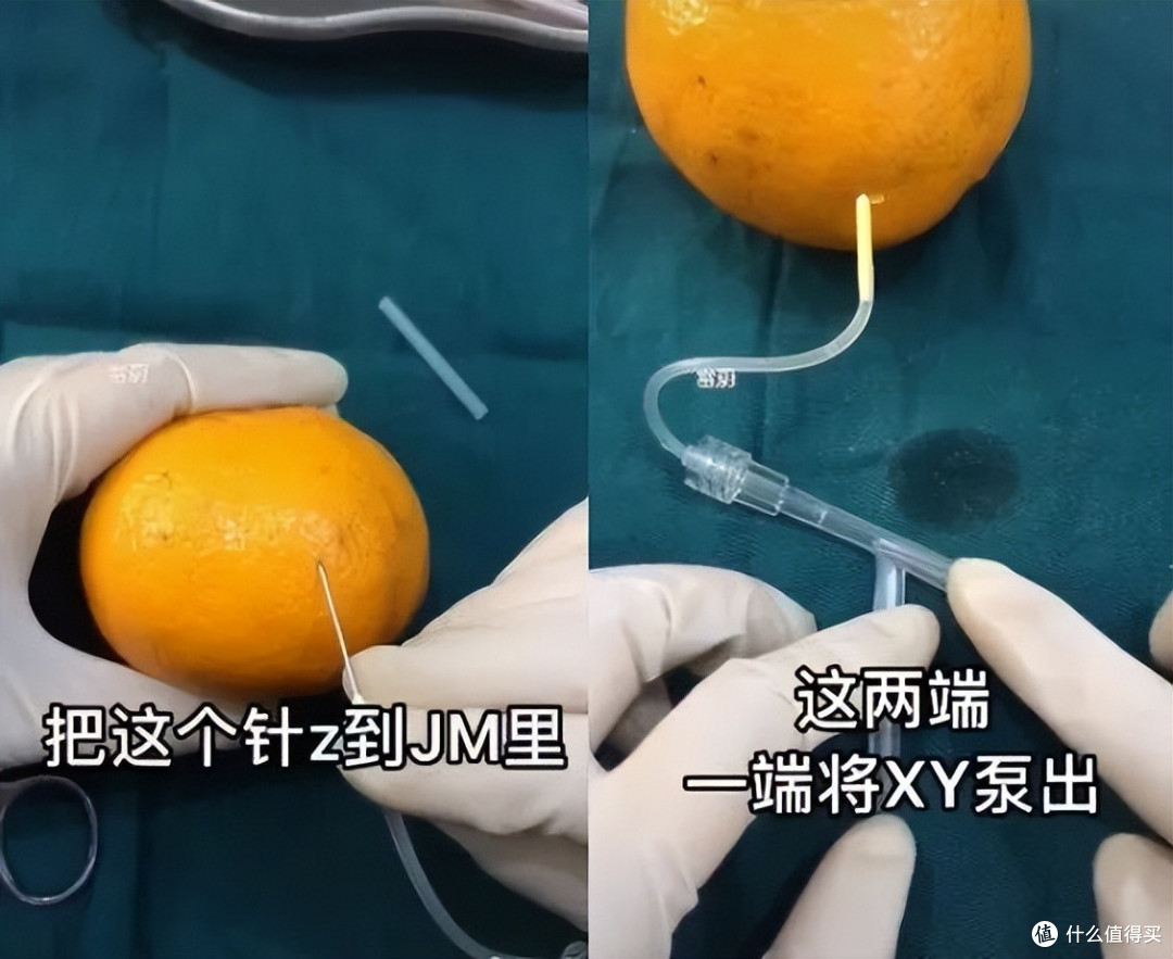 当医学生遇上水果，一场神秘“手术”正在酝酿