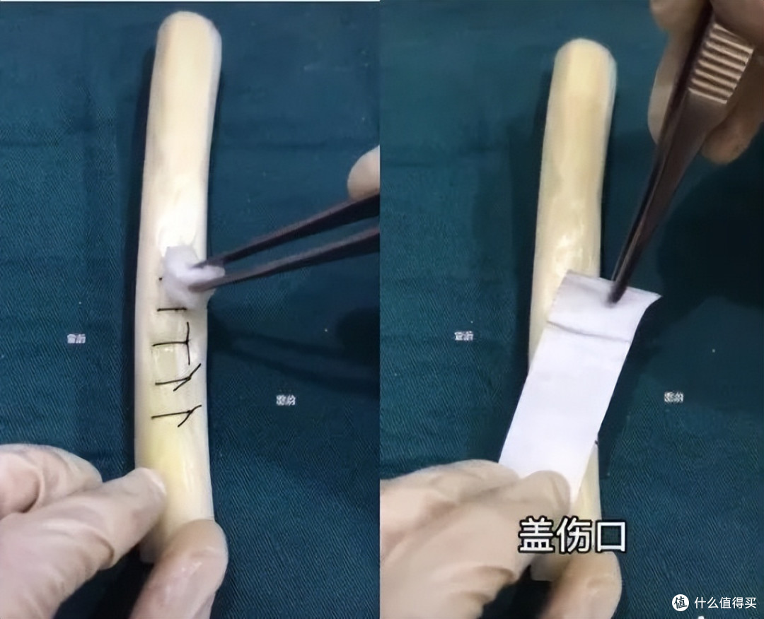当医学生遇上水果，一场神秘“手术”正在酝酿