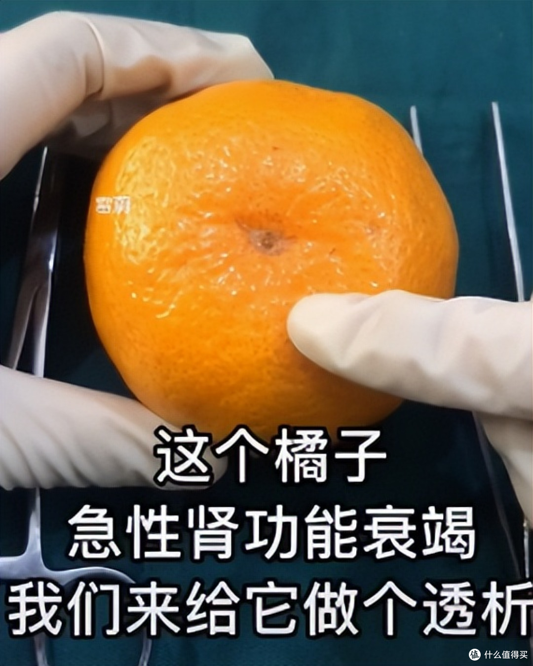 当医学生遇上水果，一场神秘“手术”正在酝酿