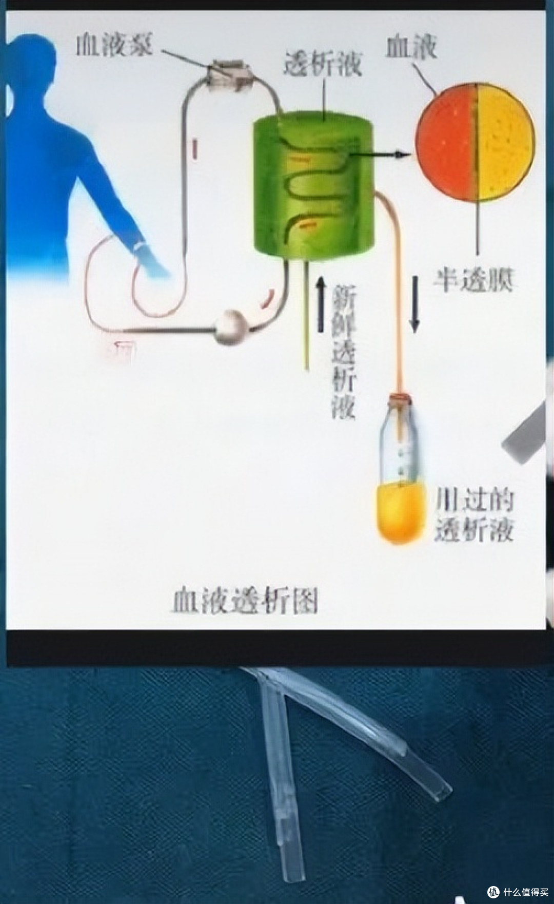 当医学生遇上水果，一场神秘“手术”正在酝酿