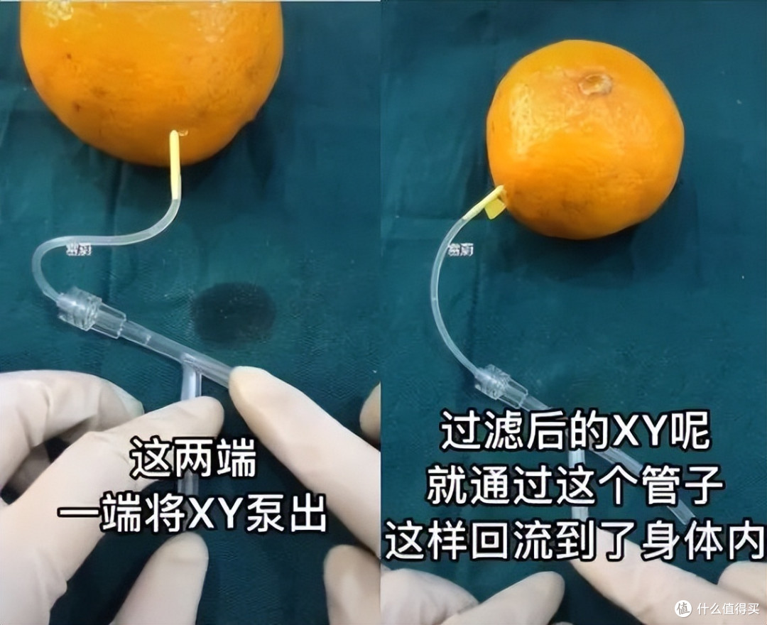 当医学生遇上水果，一场神秘“手术”正在酝酿