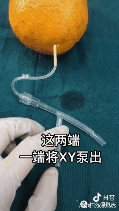 当医学生遇上水果，一场神秘“手术”正在酝酿