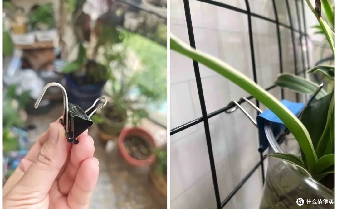 被年轻人「奶茶杯用法」惊到了!果然,一代人有一代人的宝藏