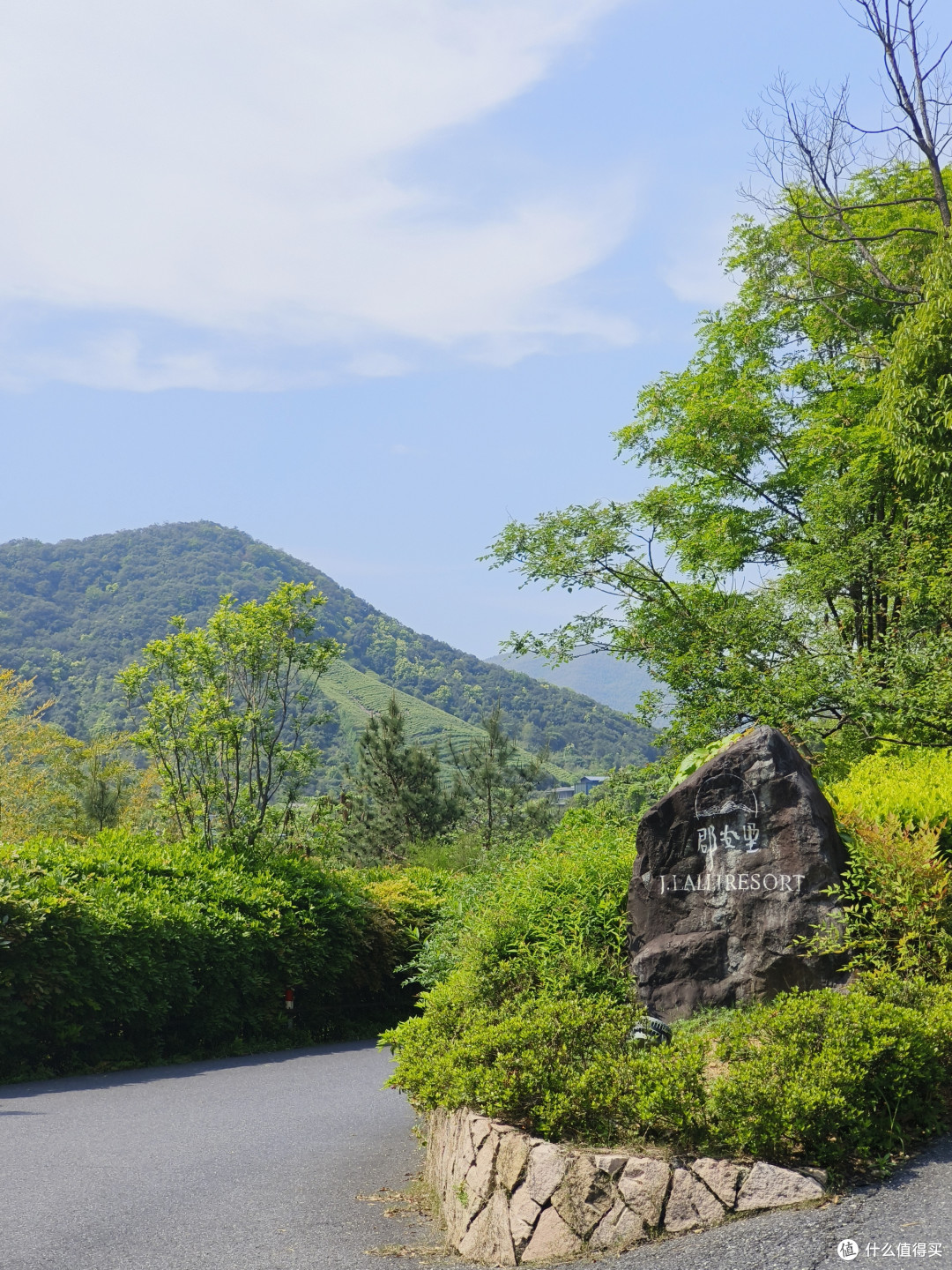 莫干山亲子度假，住进山间躺平遛娃～