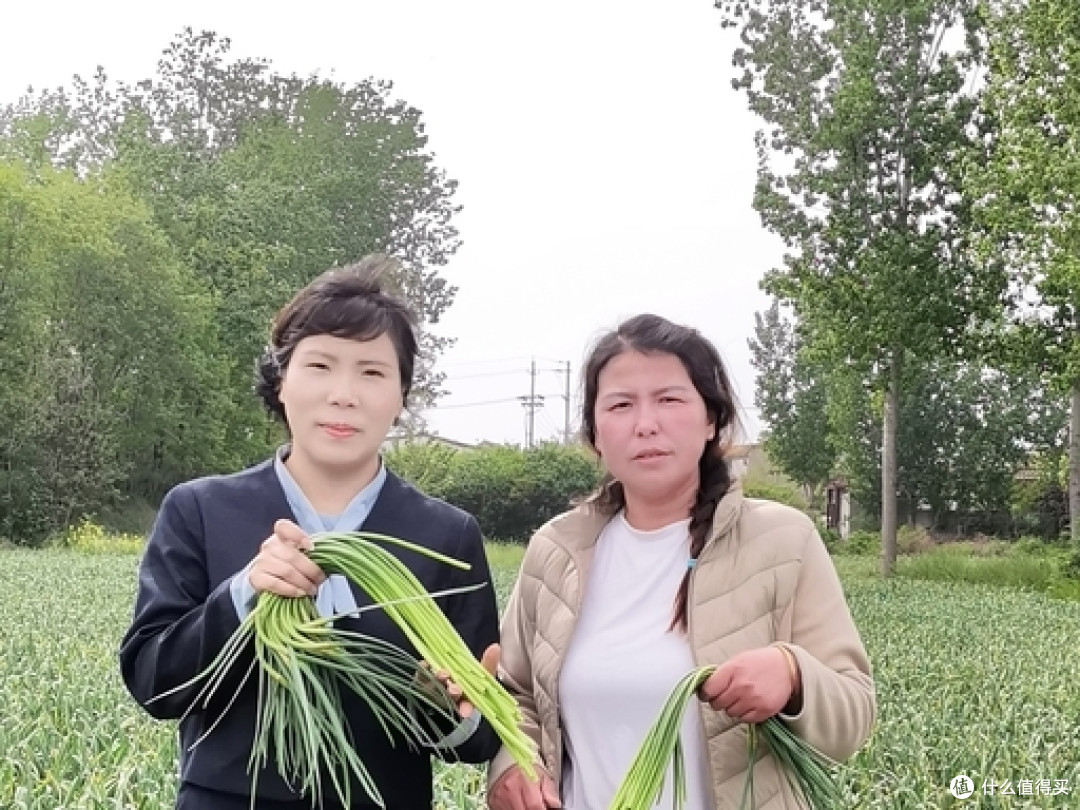 徐州蒜农百亩蒜薹免费抽，千人 2 天完工，主家：比雇人成本低