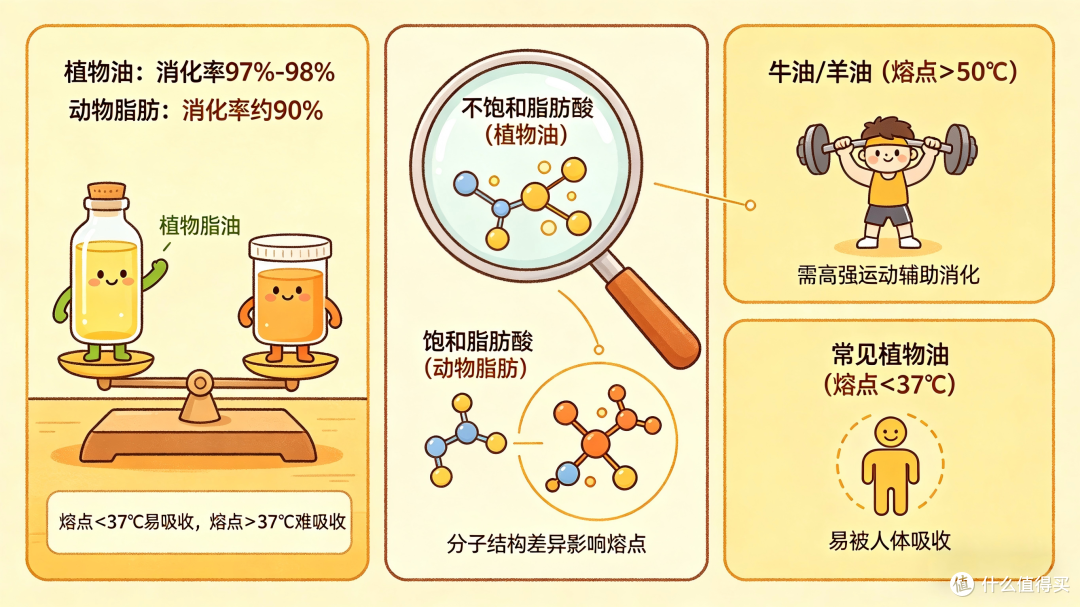 图片由豆包AI生成