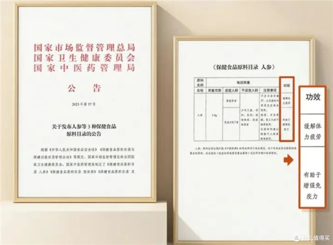 国家认证护航,长森源牌人参口服液蓝帽保健食品正式入市