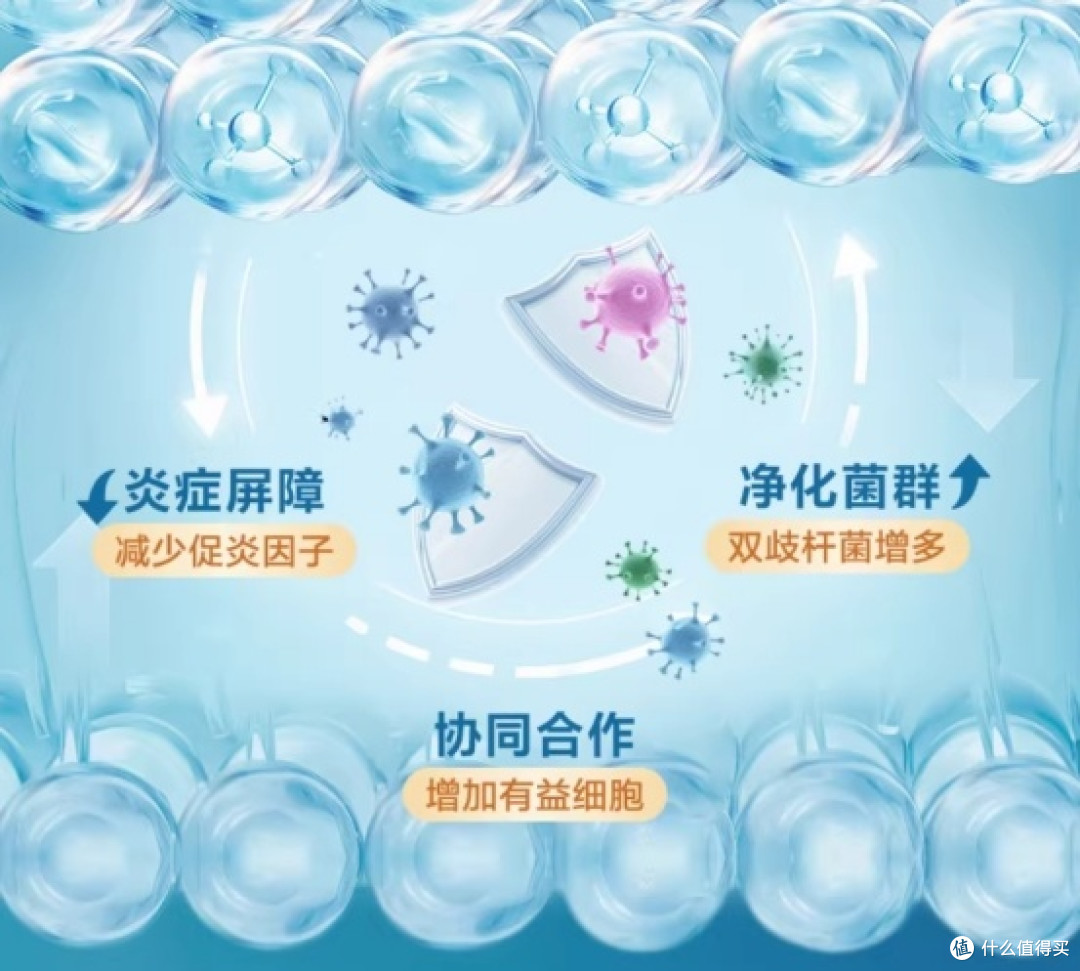 紧跟2026健康养生新风向，观点全面解读，日常保养要不要吃益生菌