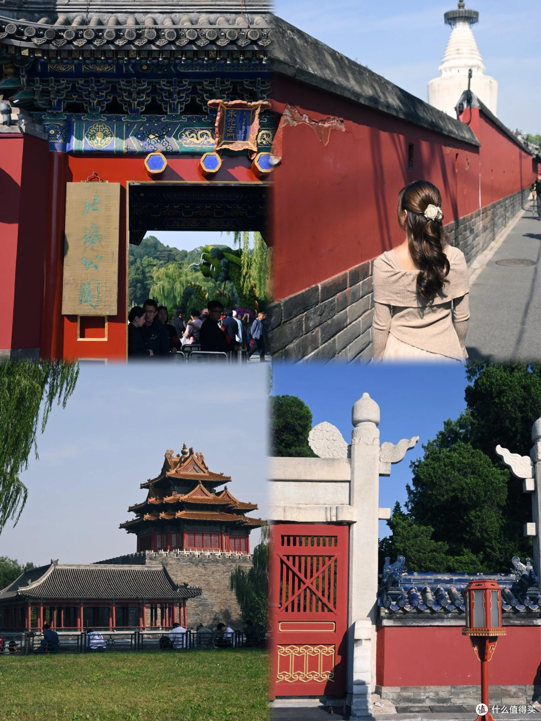 入手第一台相机:从零开始的摄影之旅