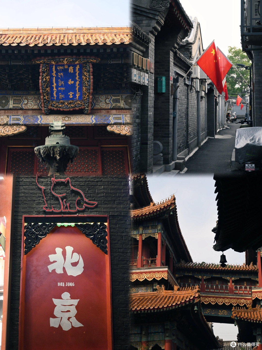 入手第一台相机:从零开始的摄影之旅