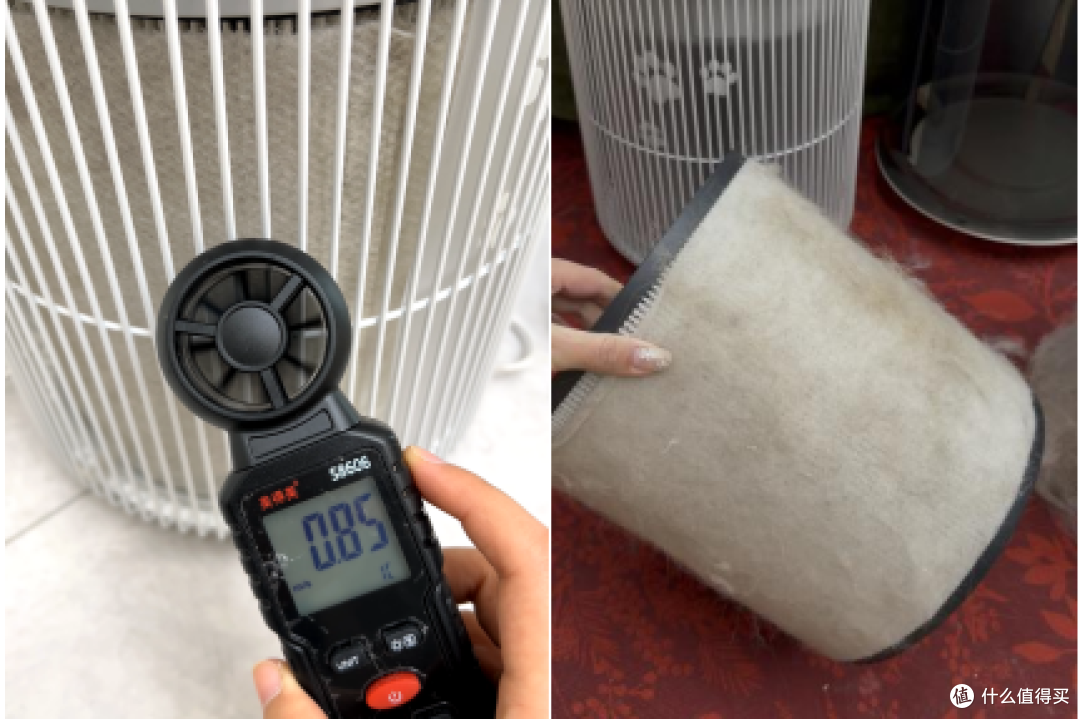 宠物空气净化器爆款实测,哪款值得买?