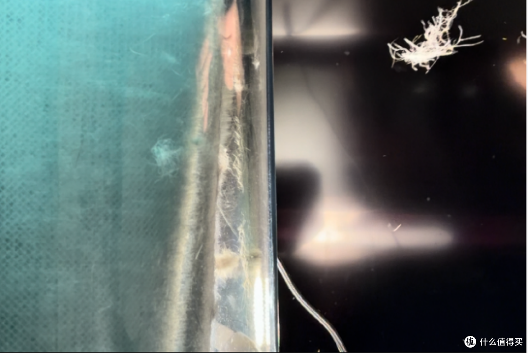 宠物空气净化器爆款实测,哪款值得买?