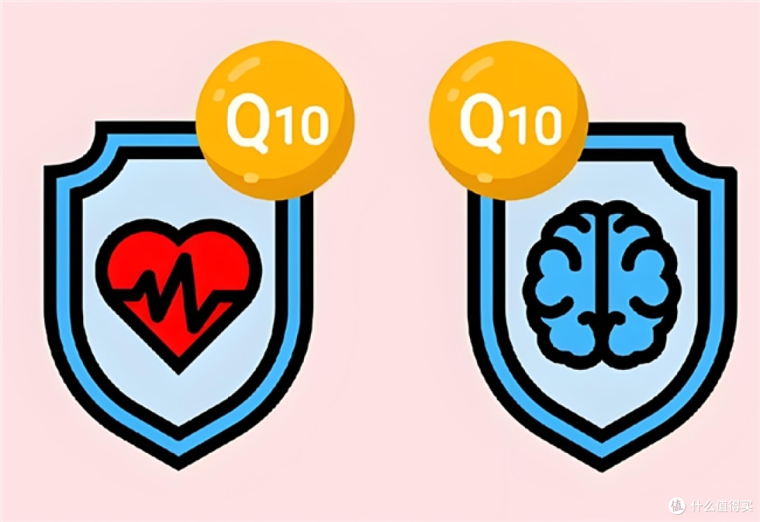 补心血管吃哪个牌子的辅酶q10?2026辅酶十大品牌揭晓!