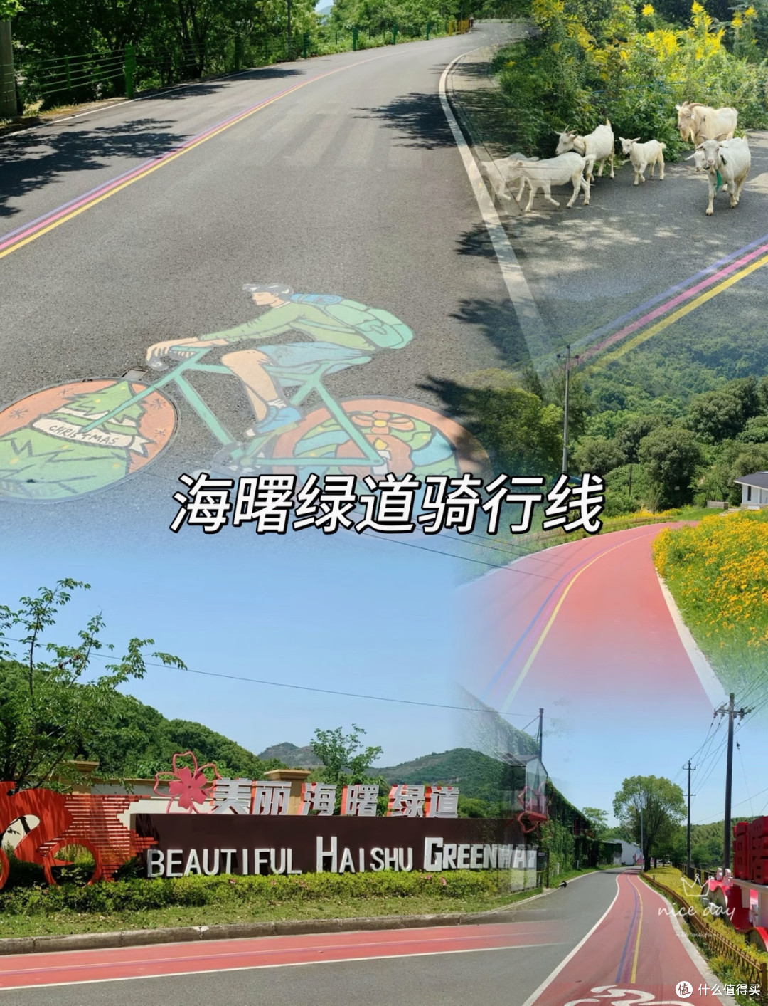 宁波适合徒步骑行的5条经典路线,周末🉑冲!