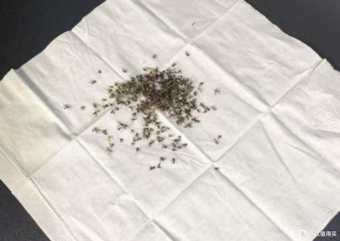 灭蚊灯哪家效果好?席卷全网的灭蚊器十大品牌排行榜,亲测好用!