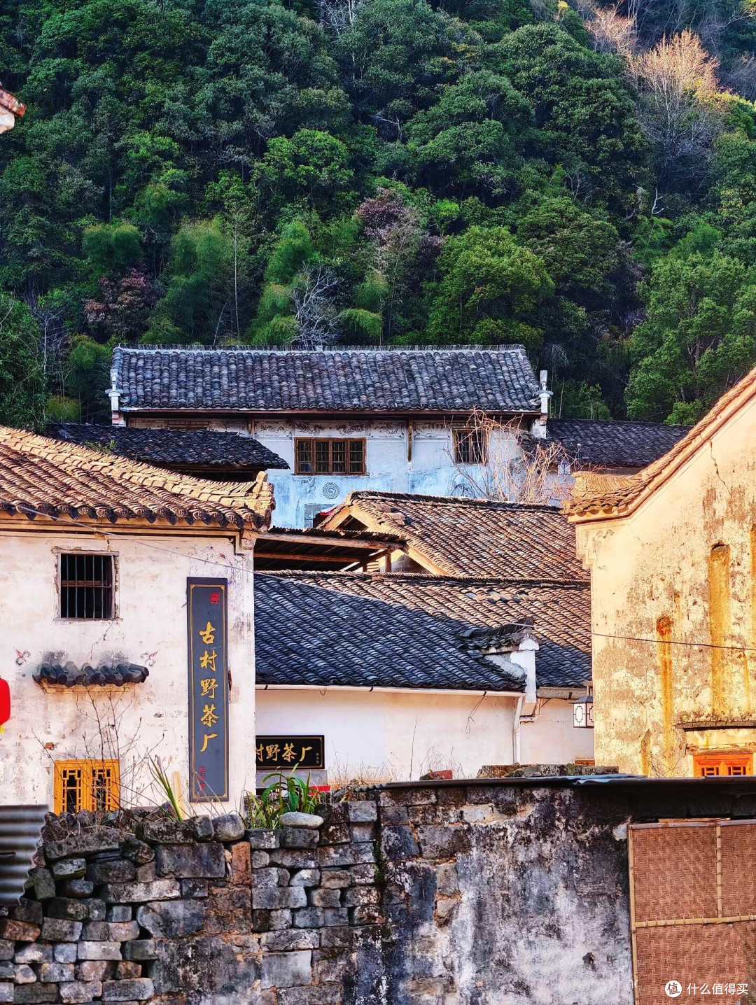 五一松阳游：避开人潮的慢旅行