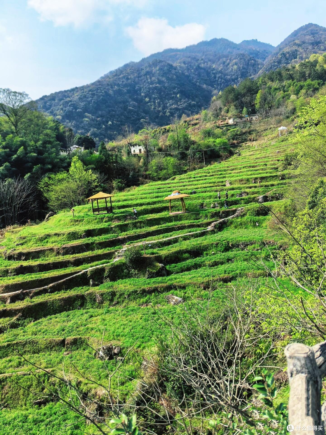 五一松阳游:避开人潮的慢旅行