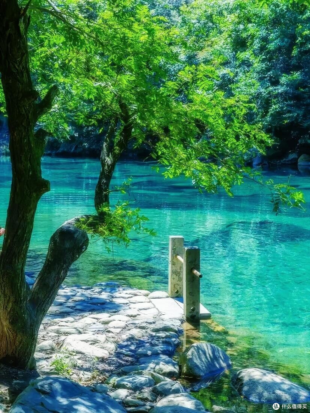 五一松阳游:避开人潮的慢旅行