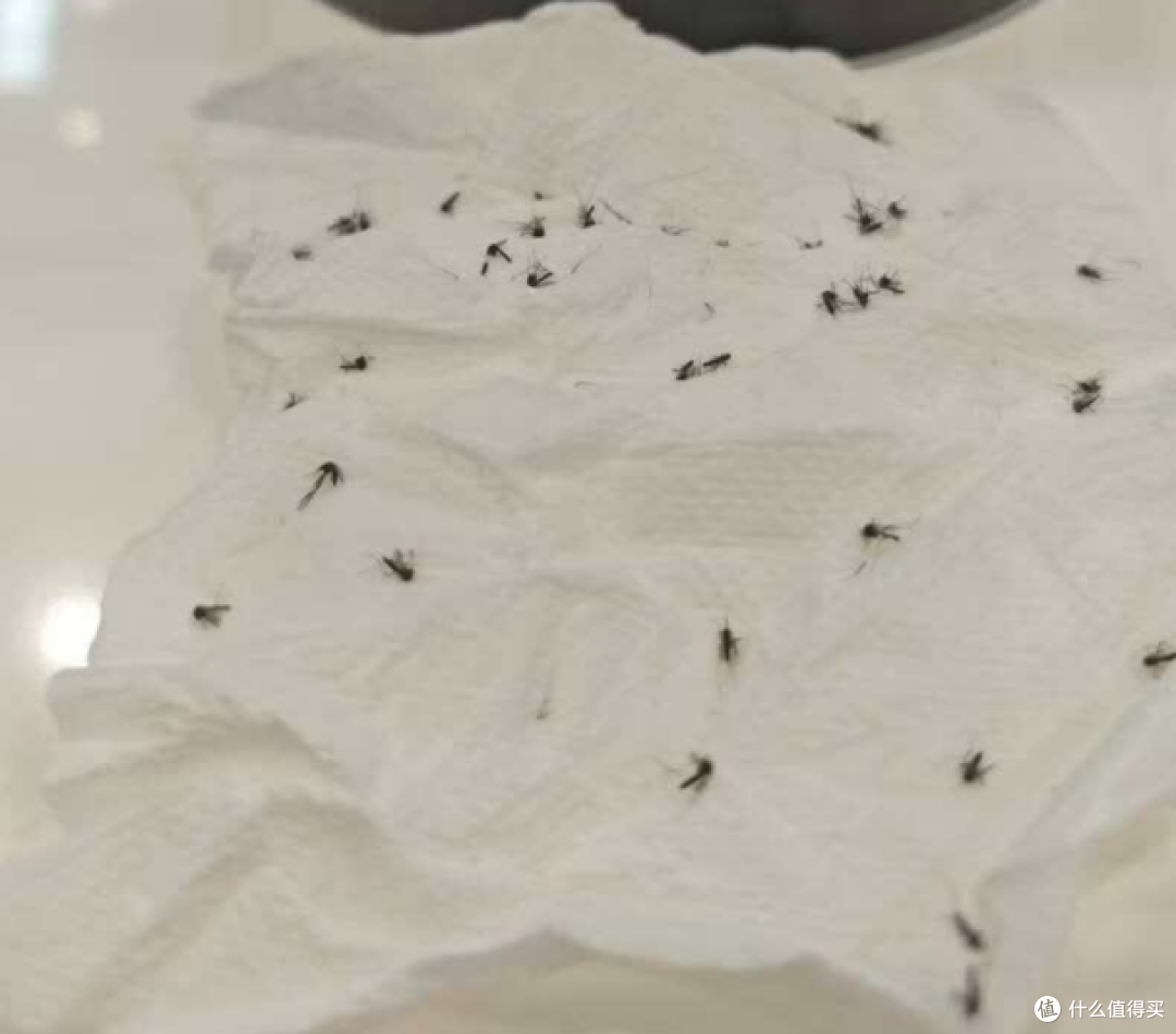 吸入式灭蚊灯哪个牌子好?公认10大灭蚊器品牌一次看全