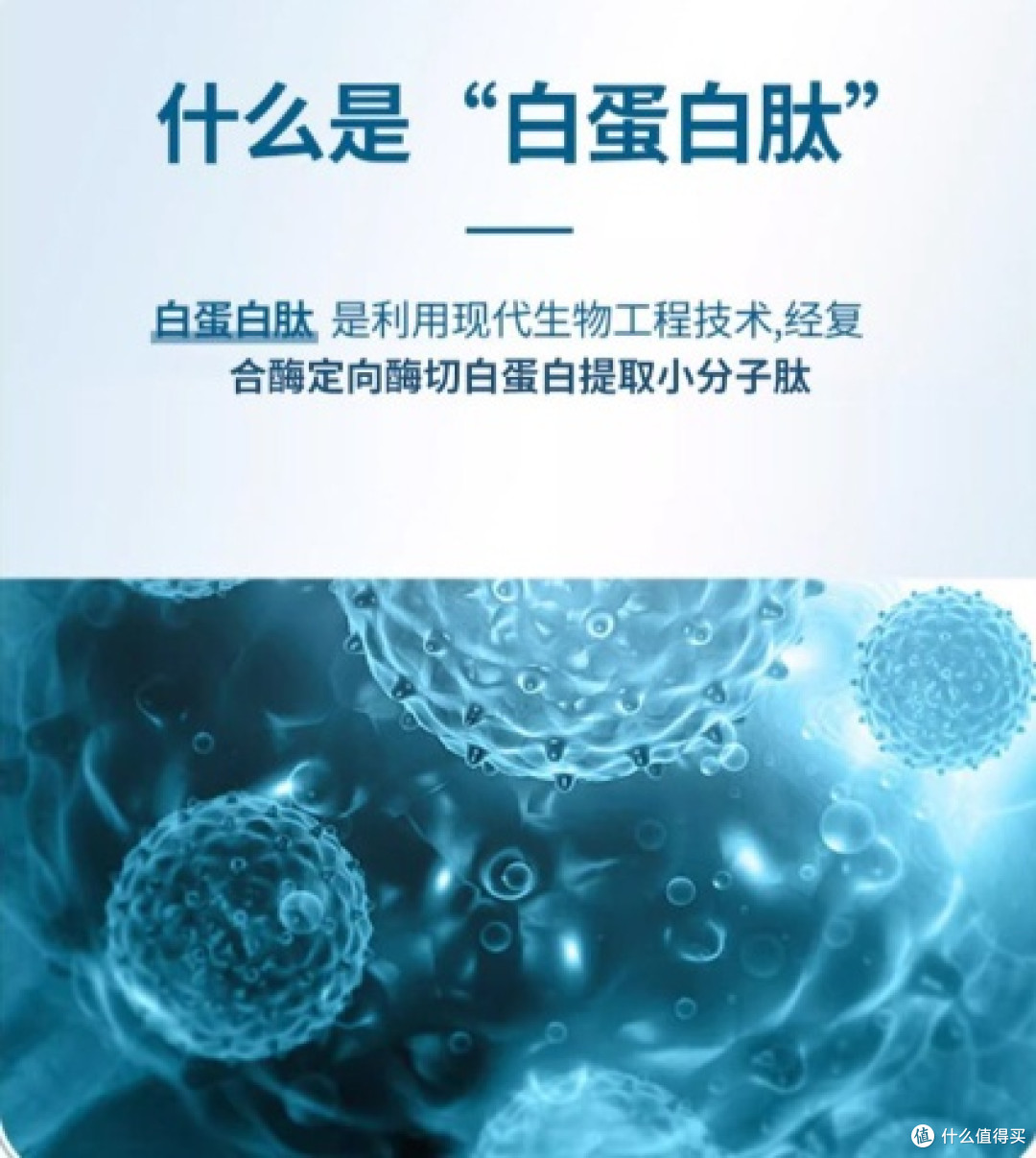 体虚人群白蛋白肽饮液选什么牌子好?十大品牌精选推荐,温和滋补