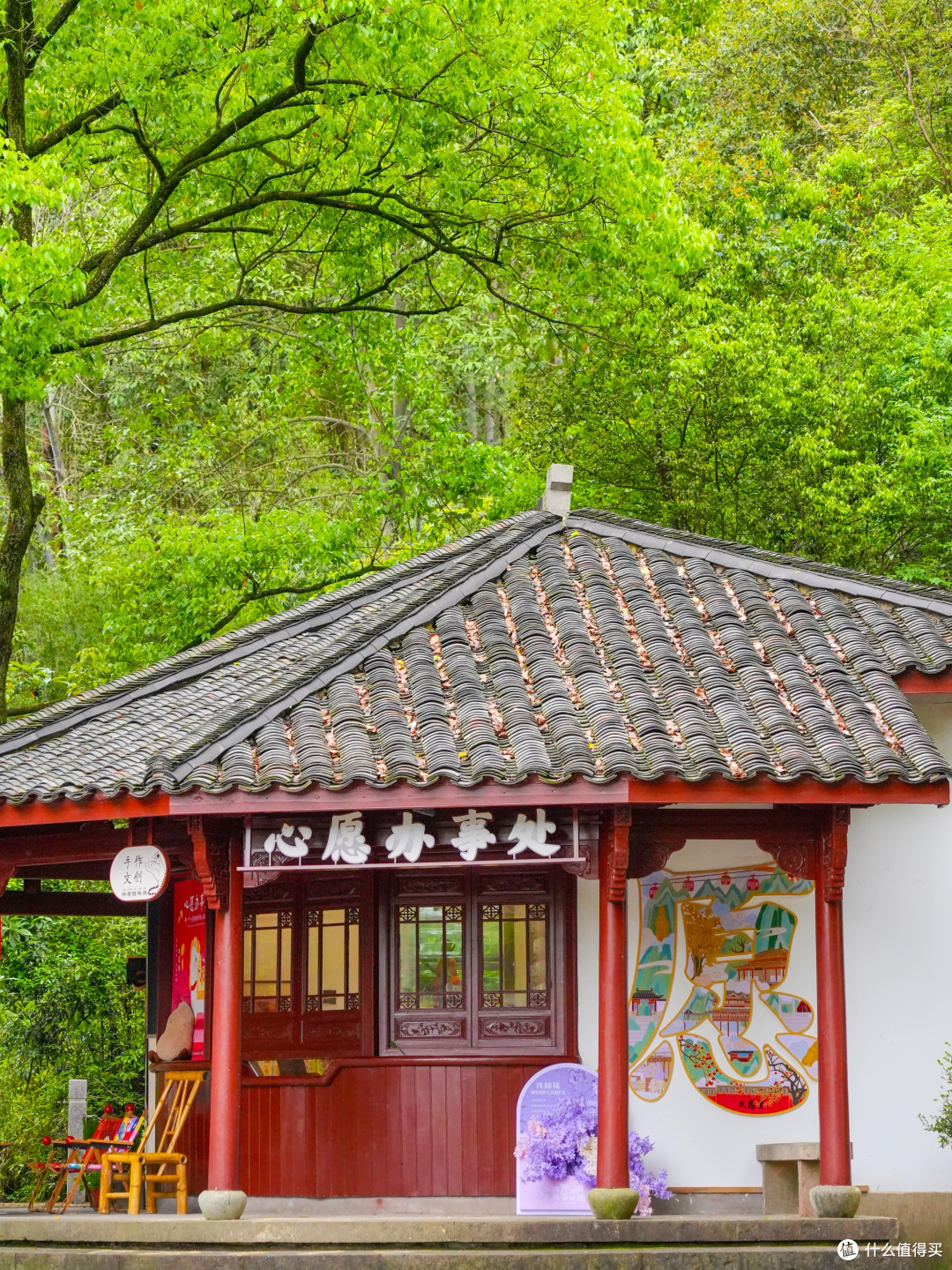 五一松阳游：避开人潮的秘境之旅