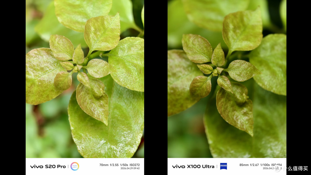 影像实测!vivo x100 Ultra 对比 S20Pro 拍照
