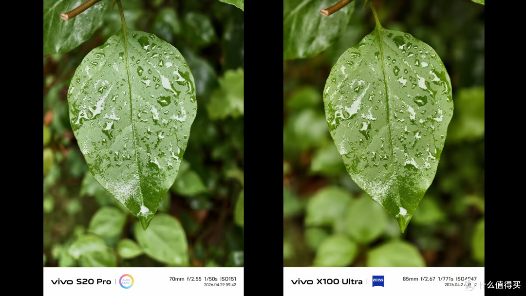 影像实测!vivo x100 Ultra 对比 S20Pro 拍照