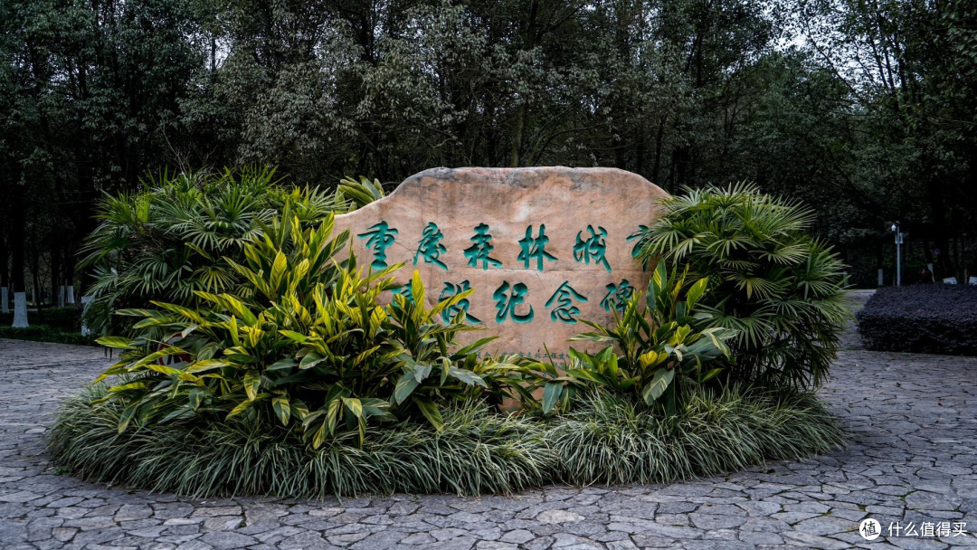 重庆照母山森林公园亲子徒步路线