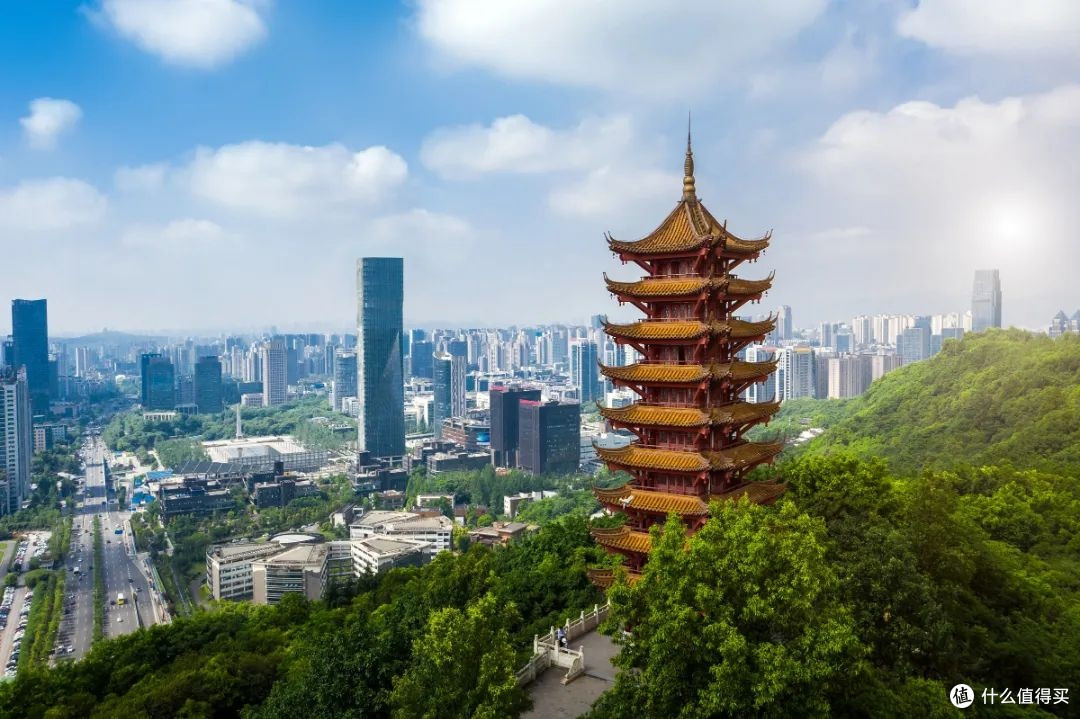 重庆照母山森林公园亲子徒步路线