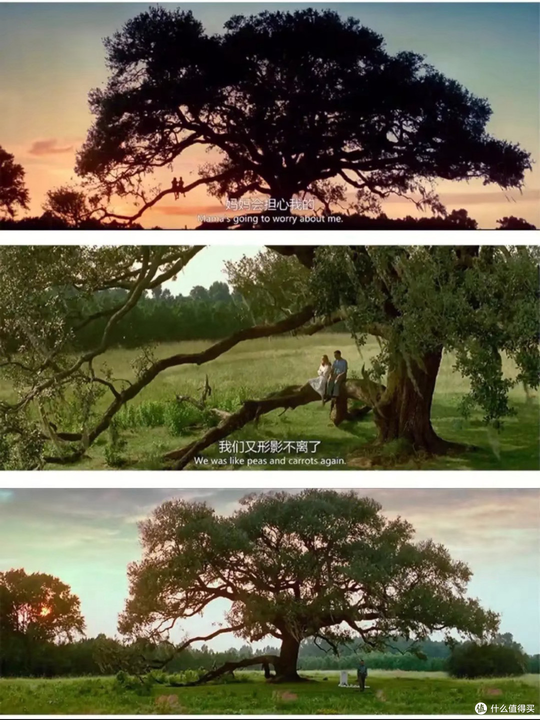 阿甘的执着与善良,启迪人生之路