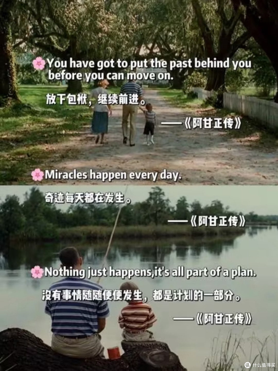 阿甘的执着与善良,启迪人生之路