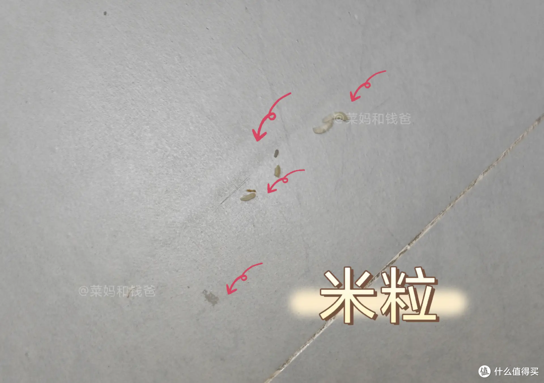 扫拖机器人X50 Pro:宠物家庭适用吗?