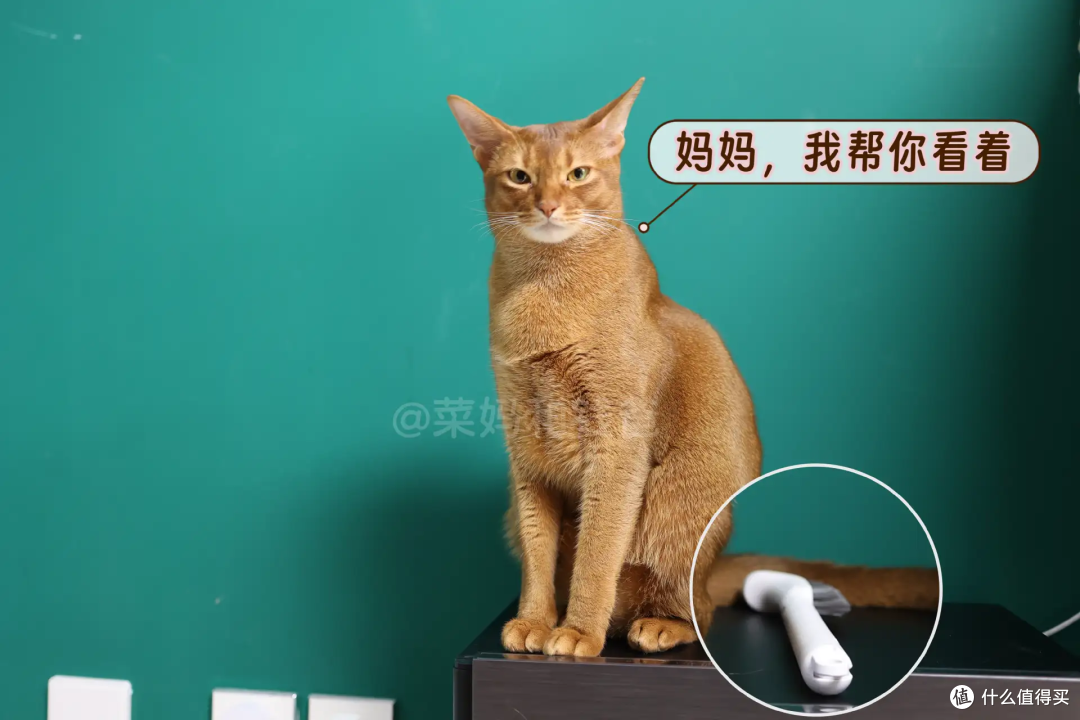 扫拖机器人X50 Pro:宠物家庭适用吗?