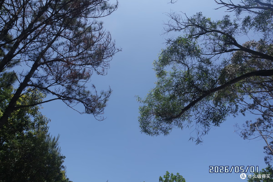 五一登山随手拍｜3个简单思路，拍出山野氛围感大片