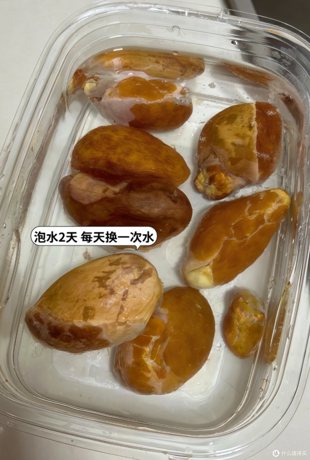 被“榴莲核的威力”惊呆了,泡水里100天,长成“小树桩”