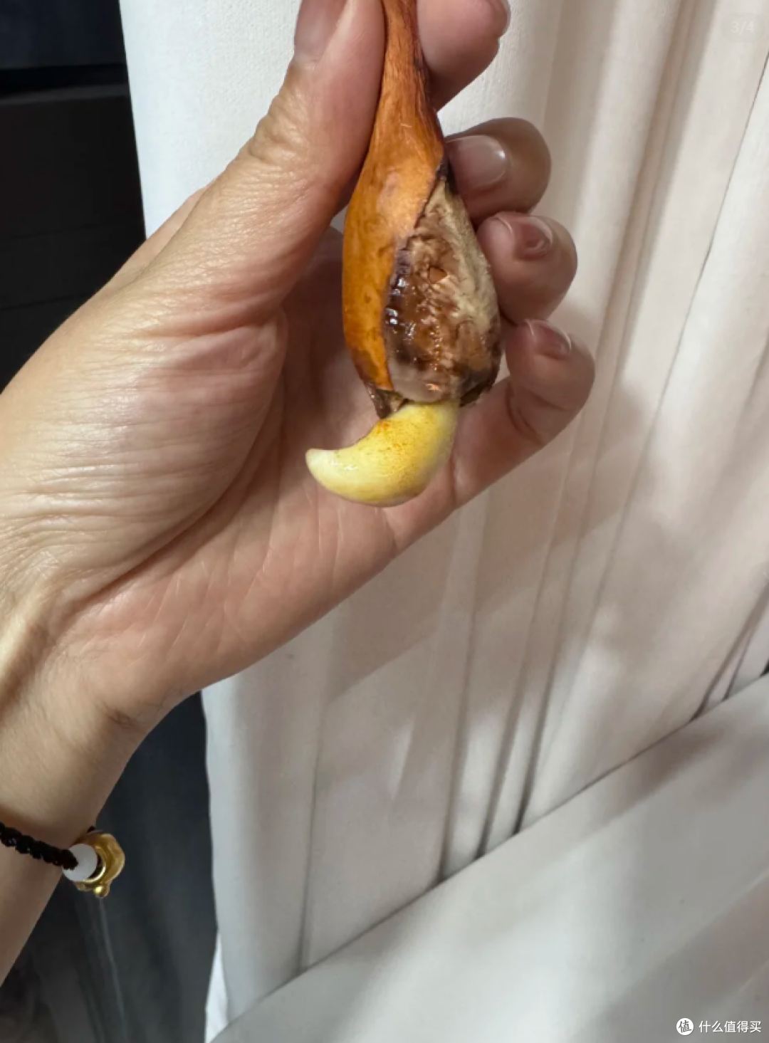被“榴莲核的威力”惊呆了,泡水里100天,长成“小树桩”
