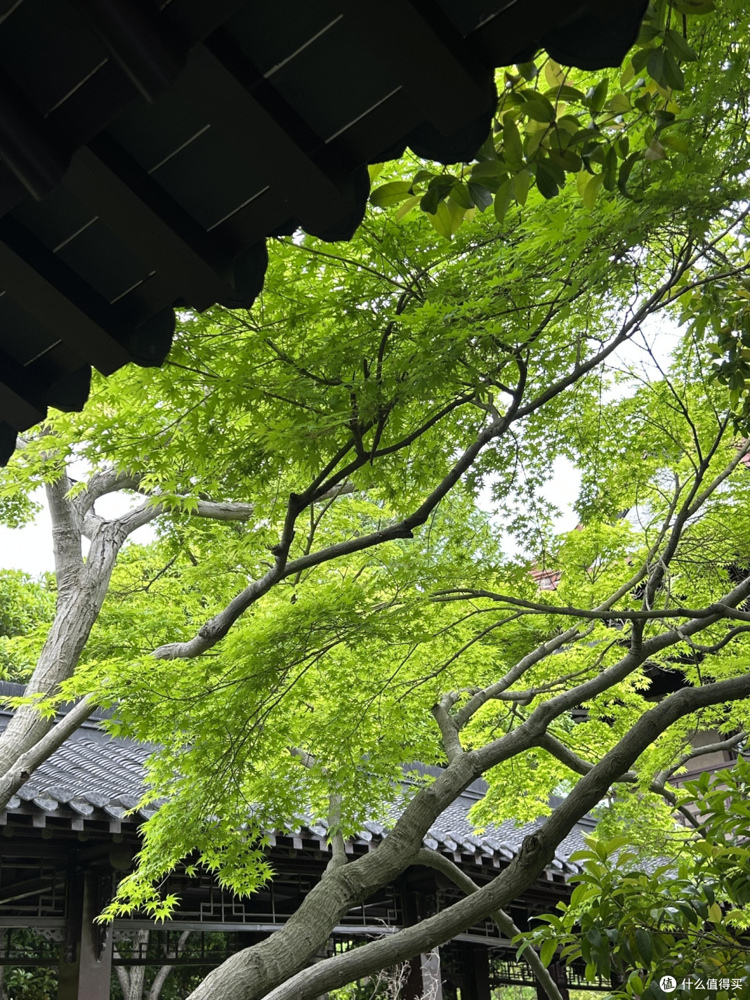 荔城小众遛娃宝地推荐